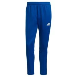 ADIDAS TIRO 21 TRAINING PANT -Hummel Verkäufe ADIDAS TIRO 21 TRAINING PANT Farbe ROYBLU