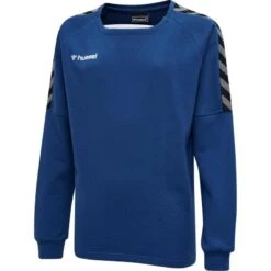 Hummel AUTHENTIC TRAINING SWEATSHIRT Kinder -Hummel Verkäufe Hummel AUTHENTIC TRAINING SWEATSHIRT Kinder Farbe TRUE BLUE