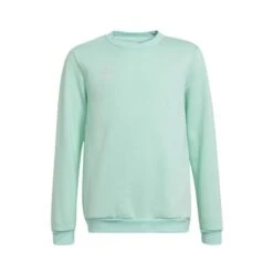 Adidas Entrada 22 Sweatshirt Kinder H57473 -Hummel Verkäufe adidas Entrada 22 Sweatshirt Kinder H57473 Farbe CLEMIN
