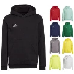 Adidas Entrada 22 Hoody Kinder H57515