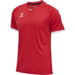 Hummel Core Volleyball Trikot 213921