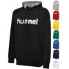 Hummel HMLGO COTTON LOGO HOODIE 203511