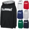Hummel HMLGO KIDS COTTON LOGO HOODIE 203512