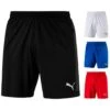 Puma FINAL EvoKNIT Shorts 703449