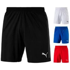 Puma FINAL EvoKNIT Shorts 703449