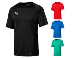 Puma FINAL Training Jersey 655292