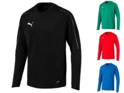 Puma FINAL Training Sweat 655290