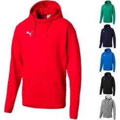 Puma LIGA Casuals Hoody Kapuzensweatshirt 655307
