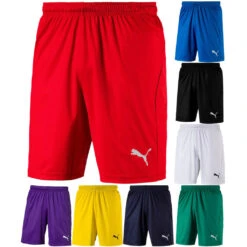 Puma LIGA Shorts Core 703436
