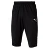 Puma LIGA Training 3/4 Pants 655315