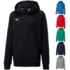 Puma TeamGOAL 23 Casuals Hoody 656580