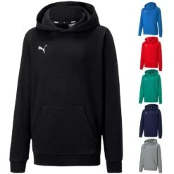 Puma TeamGOAL 23 Casuals Hoody 656580