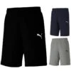 Puma TeamGOAL 23 Casuals Shorts 656581