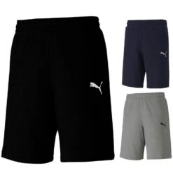 Puma TeamGOAL 23 Casuals Shorts 656581
