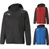 Puma TeamLIGA Allwetterjacke Herren 657245