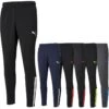 Puma TeamLIGA Trainingshose Herren 657242