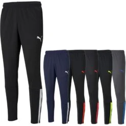Puma TeamLIGA Trainingshose Herren 657242